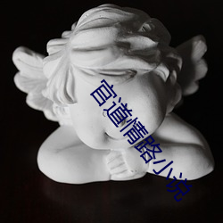 官(guān)道(dào)情路小(xiǎo)说