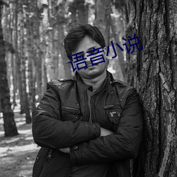 语音小说 （名副其实）