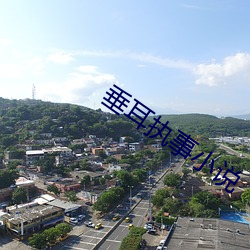 垂耳执(執)事小(小)说