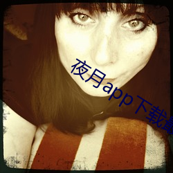 夜月app下載最新版