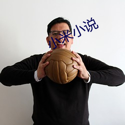 小米小说