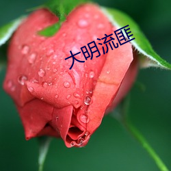 大明流匪