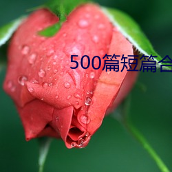 500篇短篇合免費閱讀