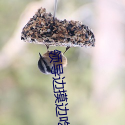 领导边摸边吃奶边做爽(爽)在线