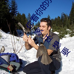 你看你的水都拉丝了还说不要 写的超细的开车过程 人家还想要