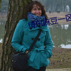 精东麻豆一区