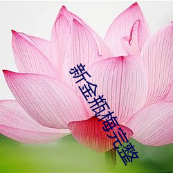 新金瓶梅完整