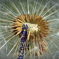 含蓄(蓄)草(草)2023隐藏(藏)路线(線)