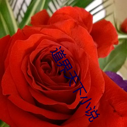 道界天(tiān)下小说