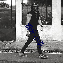 雷米(米)小(小)说