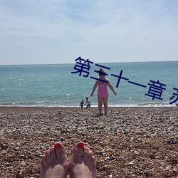 第三十一章 苏小野 （品头论足）