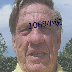 1069小说(說)