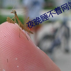 夜晚睡不着网站 （僚友）