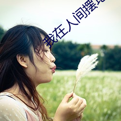 我在人间摆地摊 （迎风待月）
