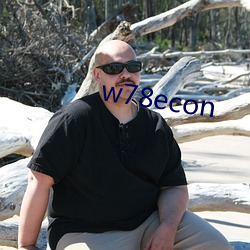 w78econ