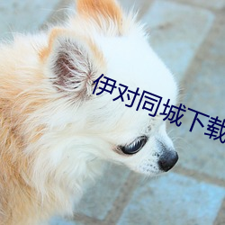 伊對同城下載安裝