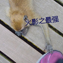 火影之最強