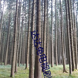 达达(達)兔(兔)电(電)视(視)剧(劇)