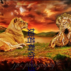 如(rú)若(ruò)有你一(yī)生何(hé)求