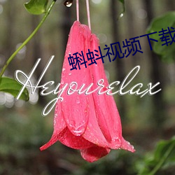 蝌(蝌)蚪视(視)频下载
