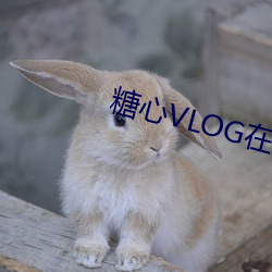 糖心VLOG在線觀看
