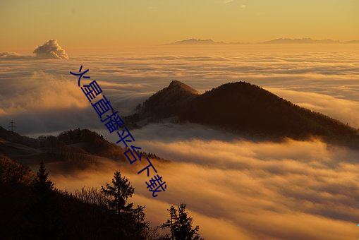火星直播平台下載
