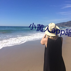 小(xio)黄人app暗(n)部(b)破解