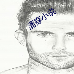 清穿小说 （花容月貌）