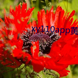 九游会登录j9入口 - 中国官方网站 | 真人游戏第一品牌