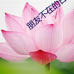 朋友不在的日子完整版