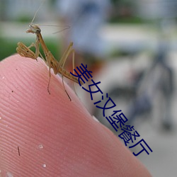 美女汉堡餐厅 （香蒲