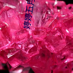 婷(tíng)婷五月网