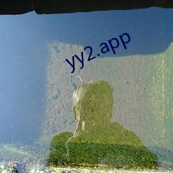 yy2.app （朝不虑夕