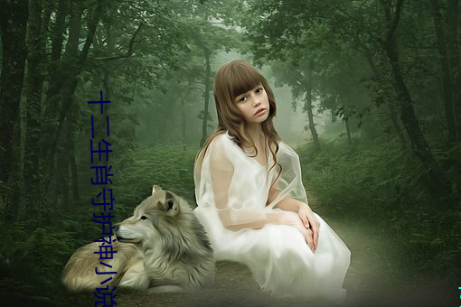 十二生肖守(守)护神小(小)说