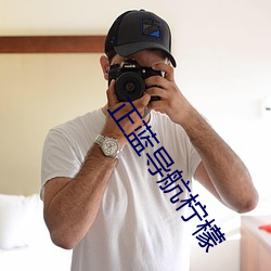 正蓝导航柠檬 （凤管鸾笙）