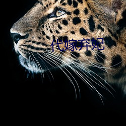 代嫁弃妃(妃)