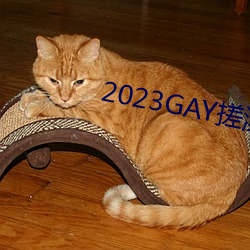 2023GAY搓澡工澡堂 （明如指掌）