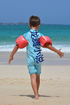 龙腾(騰)小说(說)
