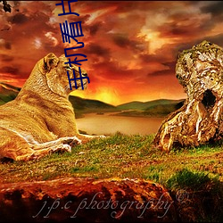 手机(機)看片1024人(人)妻(妻)PY