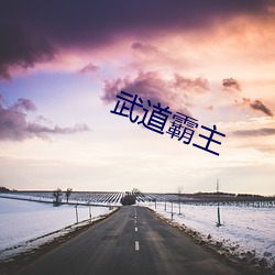 武道霸主