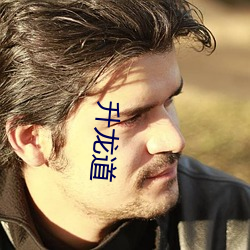 升龍道