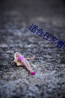 适合(hé)在家看的港(gng)片