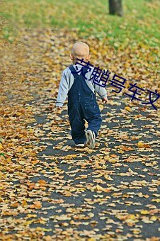 荧魈(xiāo)号车(chē)文