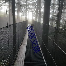 邻居交换 （形而上学）