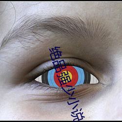 绝品强少小说
