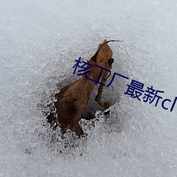 金年会(中国)官方网站