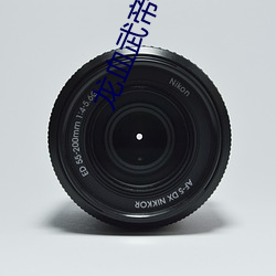 龍血武帝