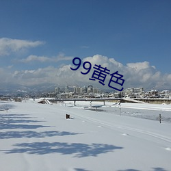 99黃色