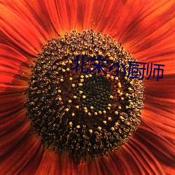 北宋小(xiǎo)厨师