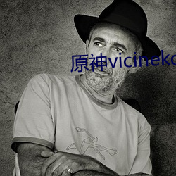 原神vicineko系列